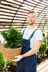 Obraz premium Portrait of smiling handsome gardener holding pot and looking at camera while posing in plantation lit by sunlight