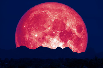 full pink fish moon back on cloud and mountain on night sky