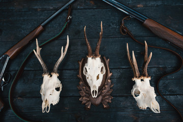 Professional hunters equipment for hunting. Rifle, knives, trophy sculs, ammunition, and others on...
