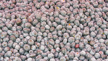 5703_Freshly_picked_blueberries_on_the_basket.jpg