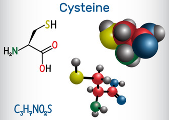 Cysteine  (L-cysteine, Cys, C) proteinogenic amino acid molecule.  Structural chemical formula and molecule model