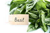 Green basil leafs with paper card on wooden table
