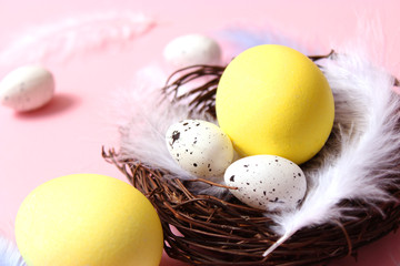  Easter composition of painted eggs and feathers on a colored background. Easter background