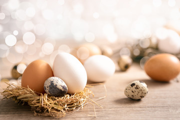 Close up of different fresh eggs in nest over bokeh background