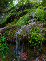 A small stream flows down the moss-covered mountainside.