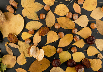 Flat Dried Leaves or Forest Floor in Camouflage Colors
