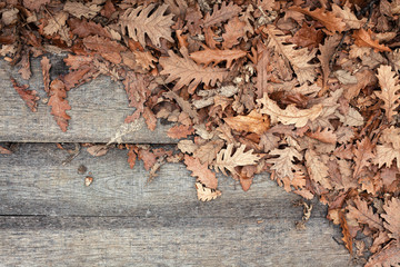 Leafs And Planks