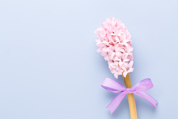 Flowers composition with hyacinths. Spring flowers on color background. Easter concept. Flat lay, top view.