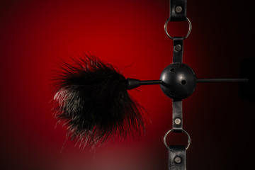 Feathered and ball gag fetish equipment isolated on red background - Image