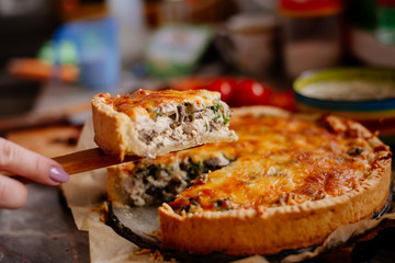 French quiche with cheese, spinach, mushrooms, bacon, dried tomatoes. French quiche on a plate only from the oven. A piece of cake on a paw. 