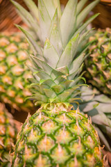 Fototapeta premium eine Ananas 