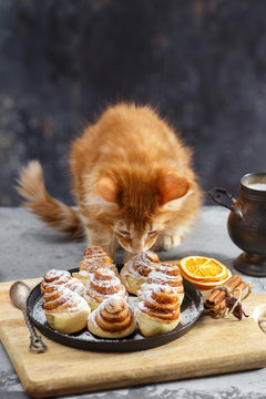 cinnamon rolls sinabon made at home, lying on a grey table. Homemade cakes