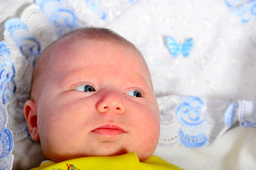 A newborn baby is lying in a pram under a warm blanket and looking to the side