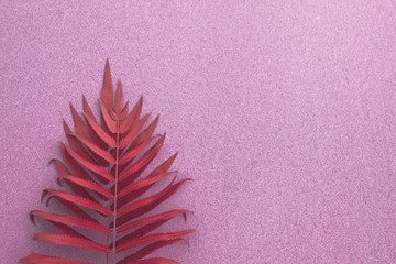 Red leaves ferns on the banana beach,Flat lay are texture Nature background creative tropical layout made at phuket Thailand