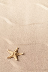 Fototapeta na wymiar one single starfish on rippled tropical beach sand. Concept with seastar for freedom and vacation. Textured background with copy space.