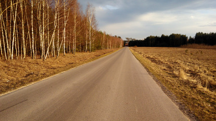 droga asfaltowa przez pola i las