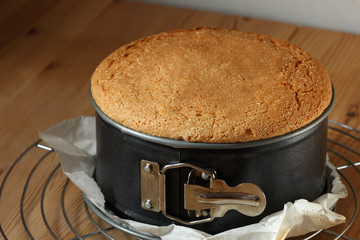 Helle Biskuittorte ofenfrisch in der Backform