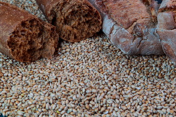fresh delicious Greek baguette and wheat