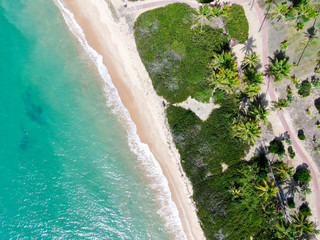 Aerial top view of tropical white sand beach and turquoise clear sea water with small waves and palm trees background. Praia do Forte, Bahia, Brazil. Travel tropical concept