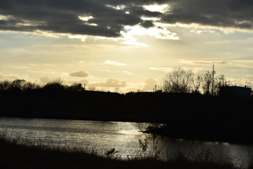 Fototapeta premium ray on water