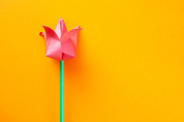 Pink paper tulip on orange background. March 8 and women's day concept. Handmade origami tulip with...