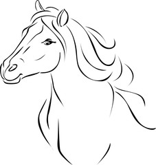 Horse Head Illustration Black Sketch - Vector Outline