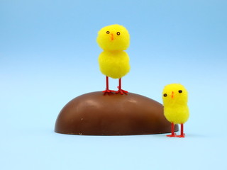 Easter Composition with a funny Chicks