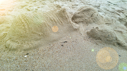 Figures of a rabbit and two cats made of sand on the ocean beach.