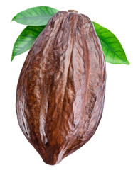 Cocoa pod with cocoa leaves on a white background. Clipping path.