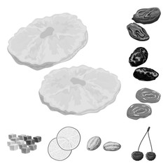 Vector illustration of vitamin  and nature  logo. Set of vitamin  and dried  vector icon for stock.