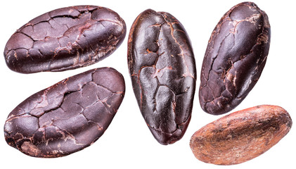 Cocoa beans on a white background. Macro shot. File contains clipping paths for each item.