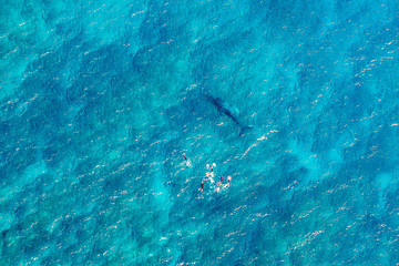 ocean reef Ningaloo 