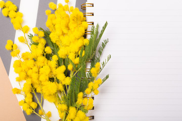 Close-up. Flatlay. Spring concept. Blank paper notebook with Mimosa flowers on beige table. Top view. Spring background composition with Mimosa flowers. Mimosa on beige background, concept of spring