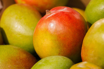 Naklejka na ściany i meble Harvest of juicy mango. Fruit Background