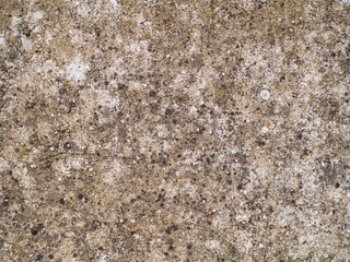 Abstract texture background of a stone wall with lichen