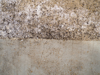 Abstract texture background of a stone wall with lichen