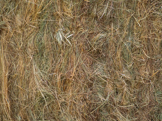 Abstract natural texture background of hay bale