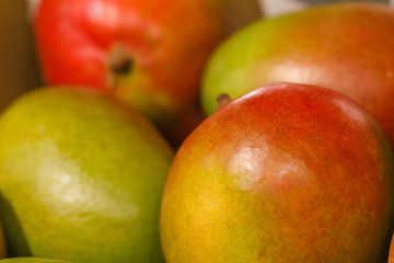 A lot ripe mango closeup. Healthy food
