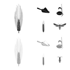 Isolated object of agriculture and farming icon. Set of agriculture and plant  stock symbol for web.