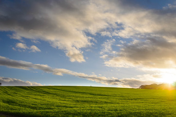 sunset over green field