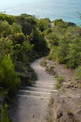 Fototapeta premium Path with stair in New Zealand