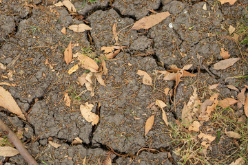 Arid soil due to lack of water with dry leaves on top