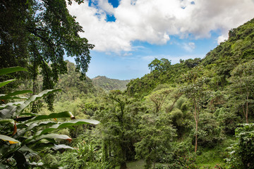 Saint Vincent and the Grenadines, Dark View Falls