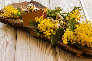 Easter egg and beautiful Mimosa flower on a wooden background