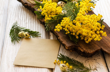 Easter egg and beautiful Mimosa flower on a wooden background