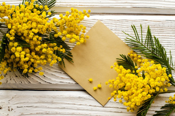 Beautiful Mimosa flower on a wooden background. - Image