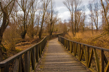 Fototapeta na wymiar A wooden walkway in the Kopacki Rit Nature Reserve in winter in north east Croatia. Located by the Serbian border, close to the confluence of the Drava and Danube rivers, it is one of the largest and 