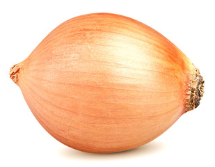 Isolated onion. One whole yellow onion isolated on white background with clipping path