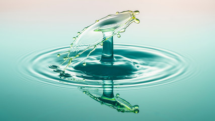 Wassertropfen Makrofotografie
