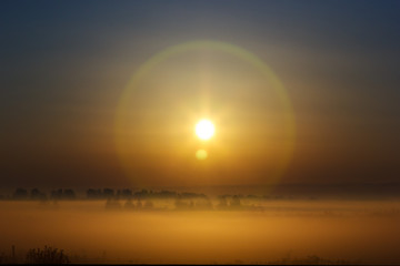 sunrise over the fog, silhouettes of trees in the morning